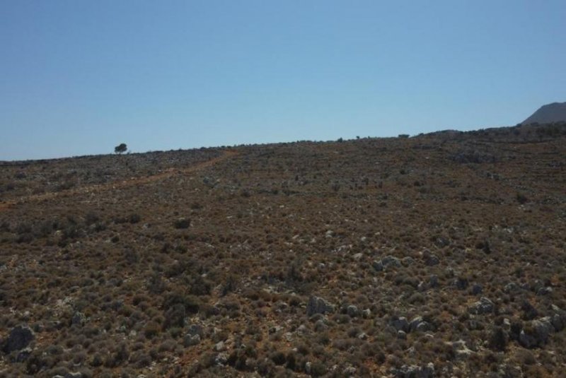 Kokkino Chorio Kreta, Kokkino Chorio: Grundstück in ruhige Lage mit majestätischer Aussicht zu verkaufen Grundstück kaufen